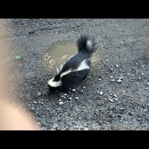 Meet your Posher, William